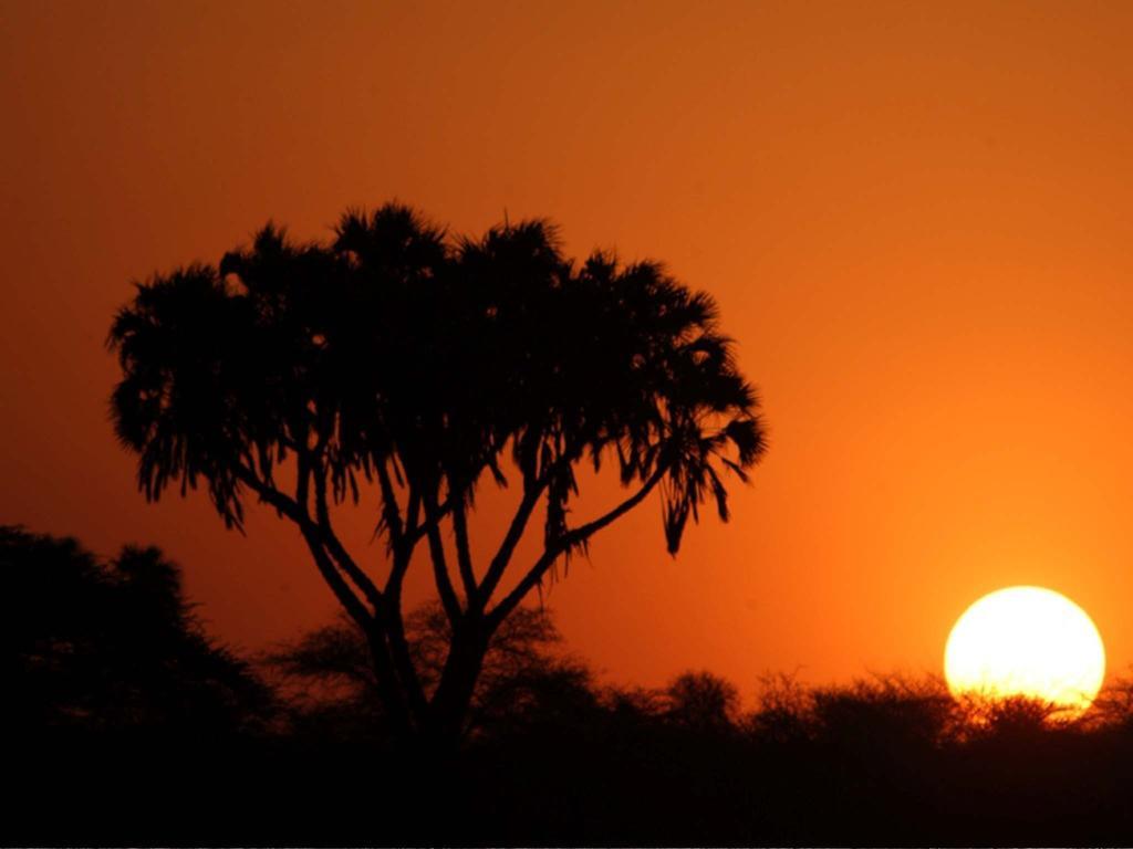 Sarova Shaba Game Lodge Archers Post Luaran gambar